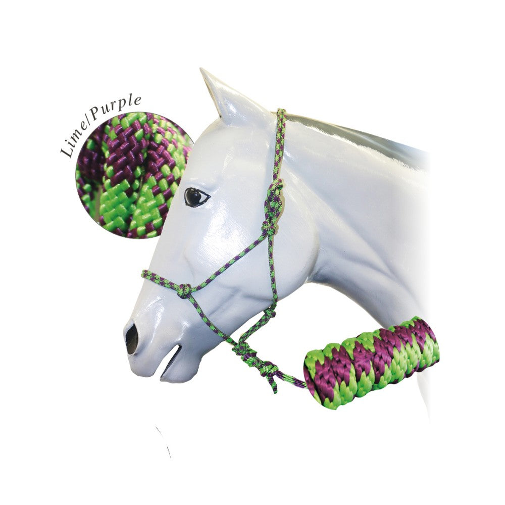 Horse mannequin head fitted with green and purple rope halter.