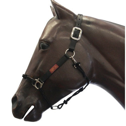 Halter Hybrid Nylon Fort Worth Black-Ascot Saddlery-The Equestrian