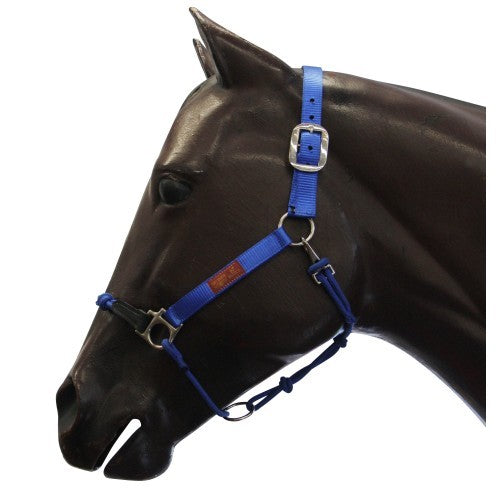 Halter Hybrid Nylon Fort Worth Blue-Ascot Saddlery-The Equestrian