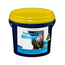 Blue and yellow container of horse electrolytes, 3kg package.