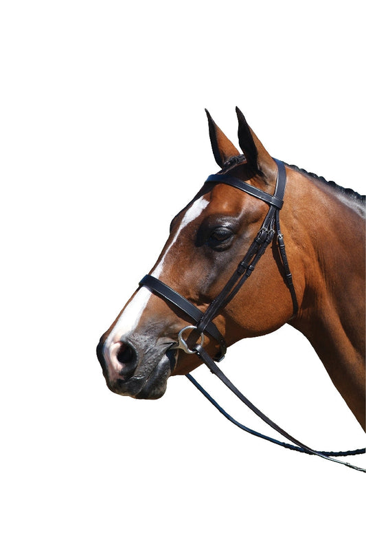 Bridle Flat Show Leather Grainge Black-Ascot Saddlery-The Equestrian