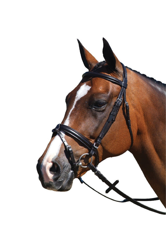 Bridle Hanoverian Leather Grainge Black-Ascot Saddlery-The Equestrian