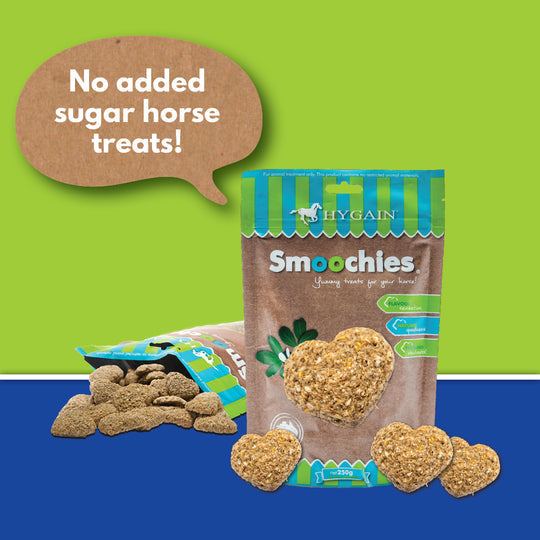 Hygain Smoochies-Southern Sport Horses-The Equestrian
