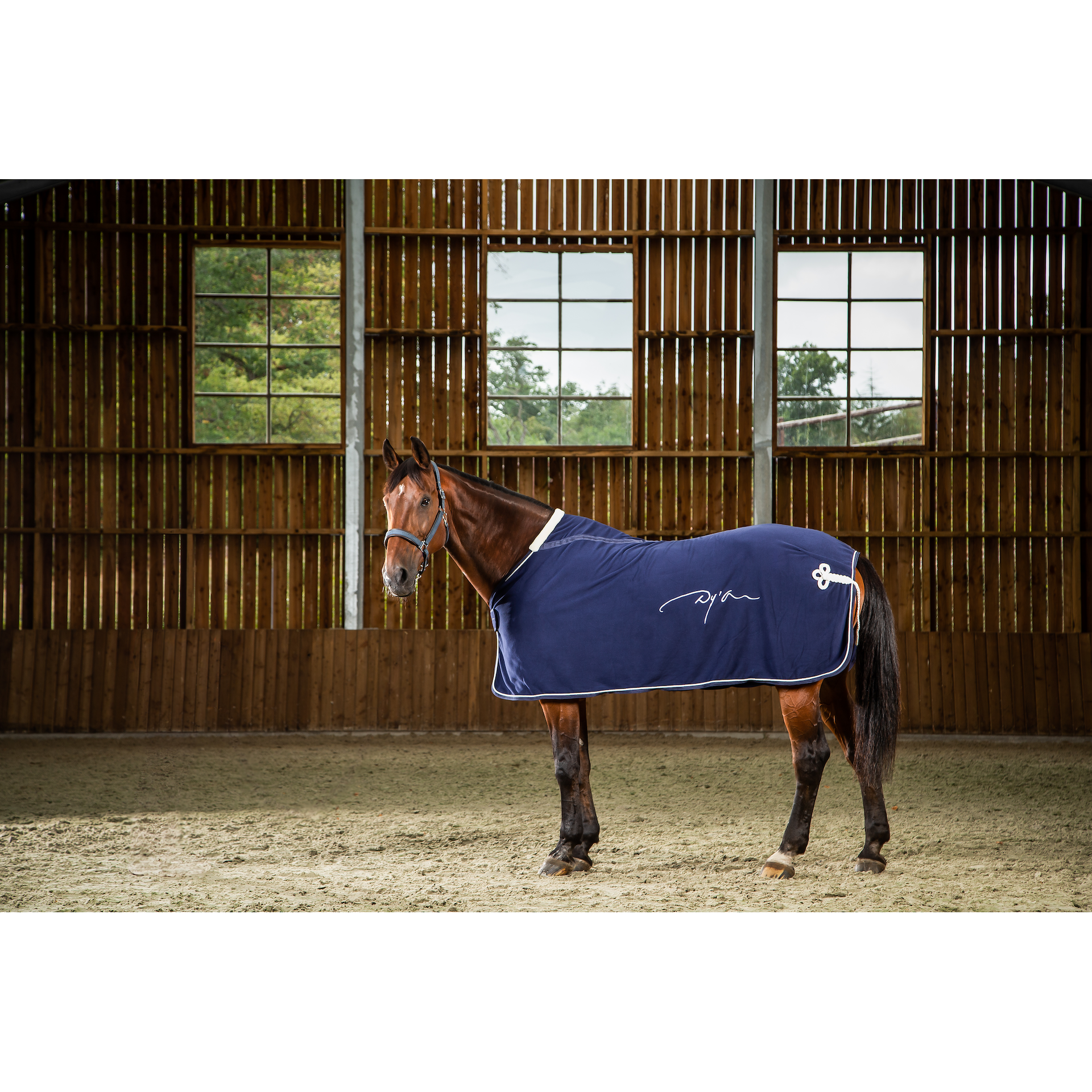 Dy'on Fleece Rug-Little Equine Co-The Equestrian