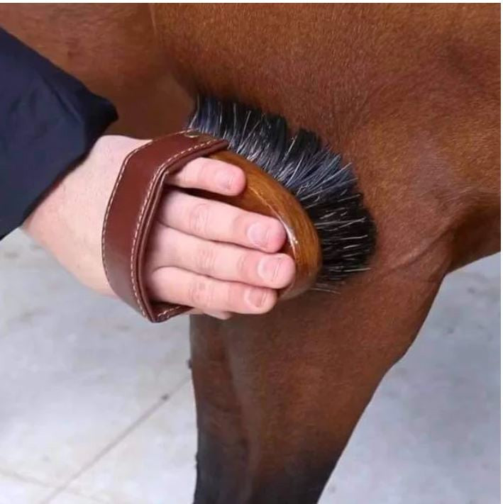 Hairy Pony Brush Dandy-Ascot Saddlery-The Equestrian