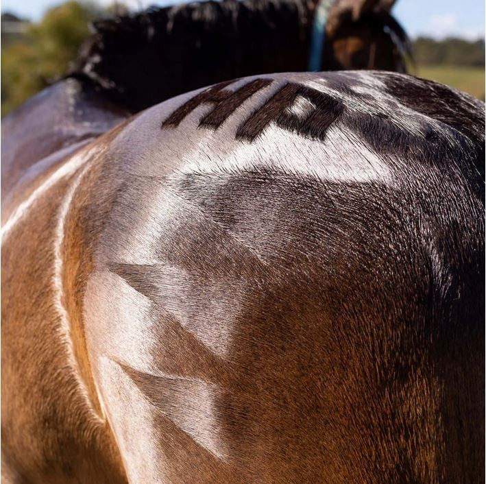 Hairy Pony Quarter Mark Brush-Ascot Saddlery-The Equestrian