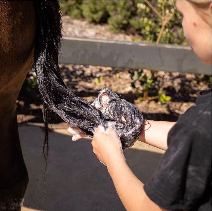 Hairy Pony Shampoo Natural 500ml-Ascot Saddlery-The Equestrian