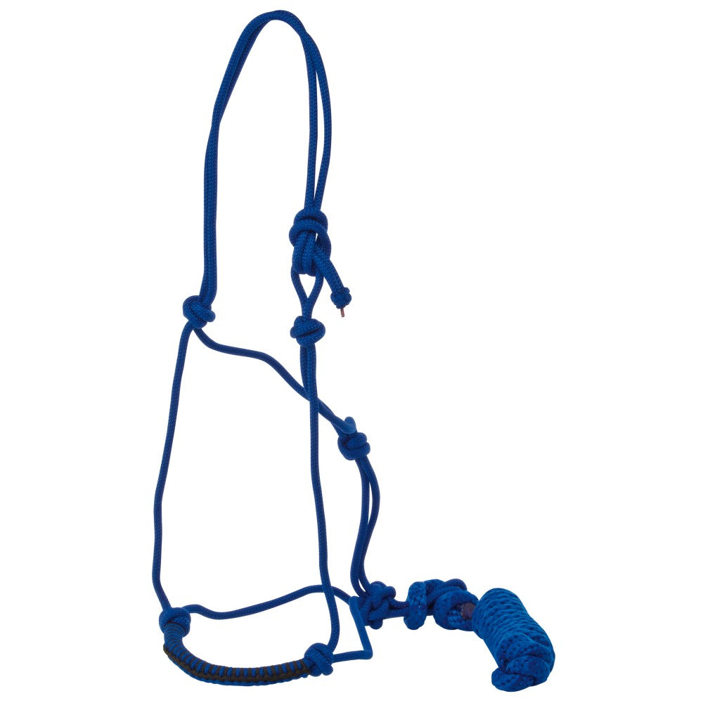 Blue rope halter for horses with knots and looped lead.