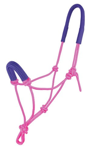 Pink and purple rope halter for horses on a white background.
