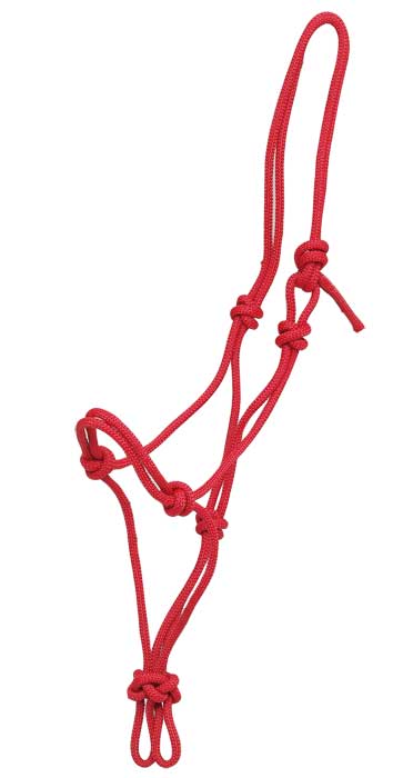 Red rope halter for horse with intricate knots on white background.