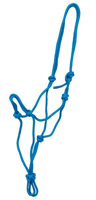 Blue rope halter for horse headgear on white background.