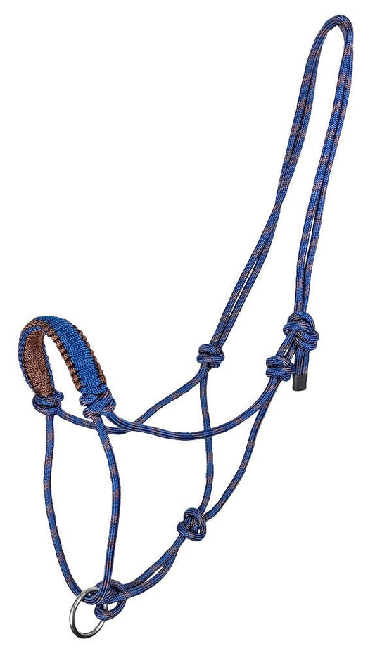 Blue and white striped rope halter with metal ring isolated on white.