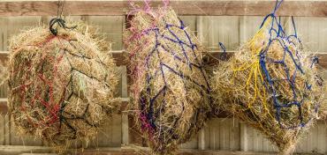 Three hay feeders with nets against wooden wall, various colors.