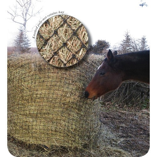 Horse beside a round bale with a circular hay feeder net.