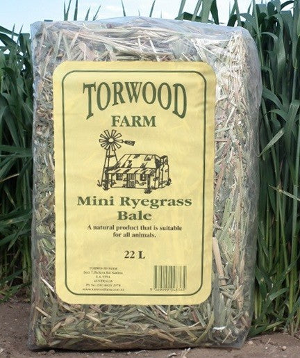 Hay Pet Torwood Mini Rye Grass-Ascot Saddlery-The Equestrian