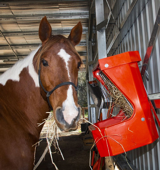 Horse eating from red wall-mounted hay feeder in stable.
