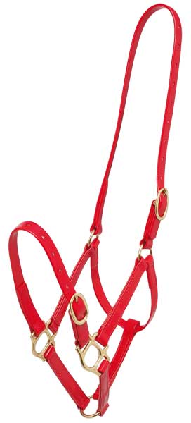 Headstall Plastic 19mm Zilco Red-Ascot Saddlery-The Equestrian