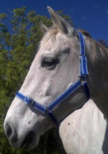 Headstall Webbing Club Black & Red-Ascot Saddlery-The Equestrian