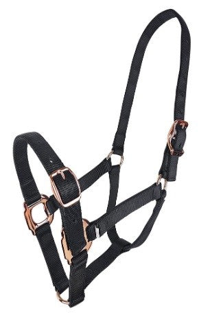 Headstall Webbing Estate Black-Ascot Saddlery-The Equestrian