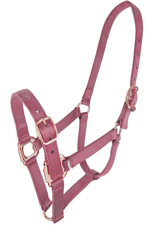 Headstall Webbing Estate Blush Full-Ascot Saddlery-The Equestrian