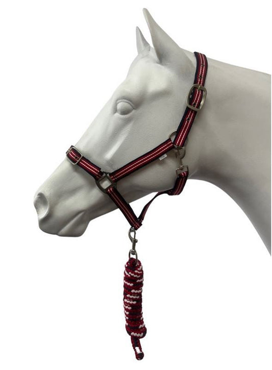 Headstall Webbing Eureka With Lead Black & Red & White-Ascot Saddlery-The Equestrian