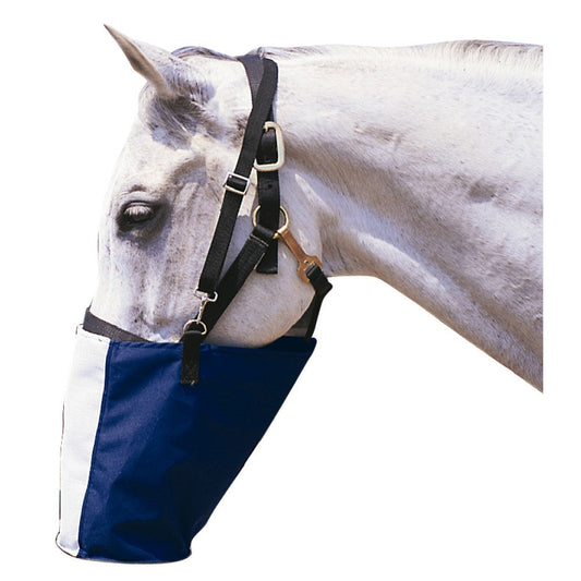 White horse with blue and white hay feeder bag on head.