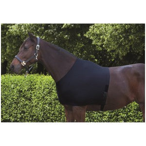 Horse wearing a black WeatherBeeta show rug outdoors.