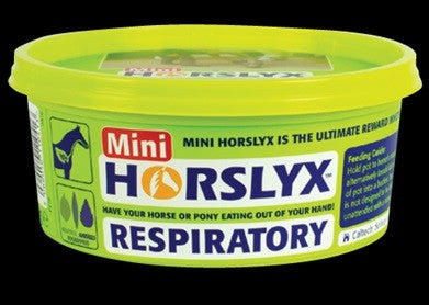 Horslyx Respiratory Mini Vitamin & Mineral Lick 650gm-Ascot Saddlery-The Equestrian