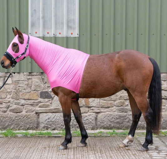 Horzehood No Ears Pink-Ascot Saddlery-The Equestrian