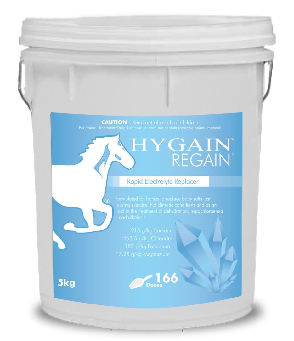 Regain Hygain 5kg-Ascot Saddlery-The Equestrian