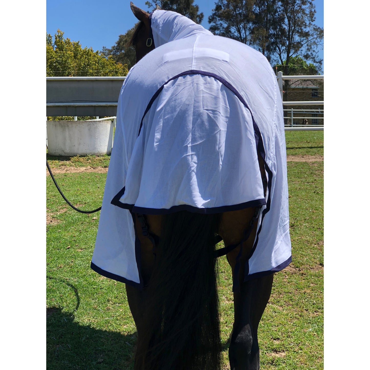 Deluxe Flagcloth Combo Rug-Diamond Deluxe Horsewear-The Equestrian