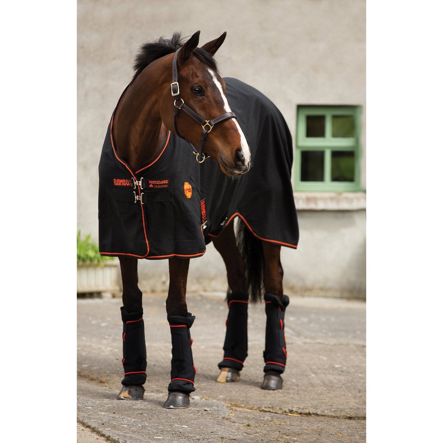 Rambo Ionic Stable Sheet-Little Equine Co-The Equestrian