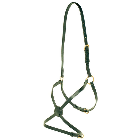 Noseband Figure 8 Leather Jeremy & Lord Black-Ascot Saddlery-The Equestrian