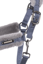 Cavallo JINA Halter-Little Equine Co-The Equestrian