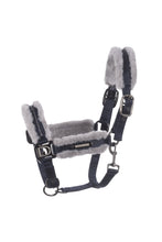 Cavallo JINA Halter-Little Equine Co-The Equestrian