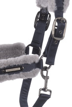 Cavallo JINA Halter-Little Equine Co-The Equestrian