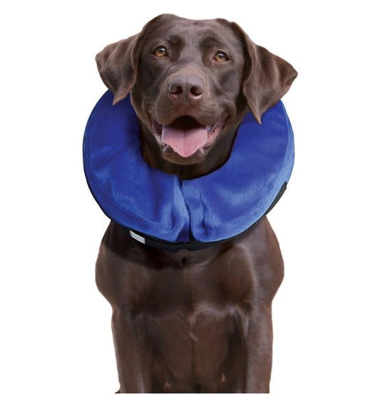 KONG Cloud Soft Elizabethan Cat and Dog Protective Medical Collar - X-Small-Lucky Pet Supplies-The Equestrian