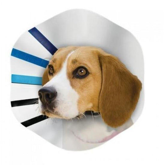 KONG EZ Clear Elizabethan Medical Collar for Cats & Dogs - Medium-Lucky Pet Supplies-The Equestrian