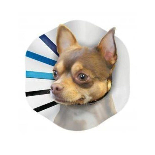 KONG EZ Clear Elizabethan Medical Collar for Cats & Dogs - Small-Lucky Pet Supplies-The Equestrian