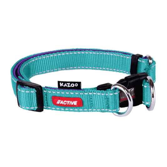 Kazoo Dog Collar Active Adjustable Aqua & Purple-Ascot Saddlery-The Equestrian