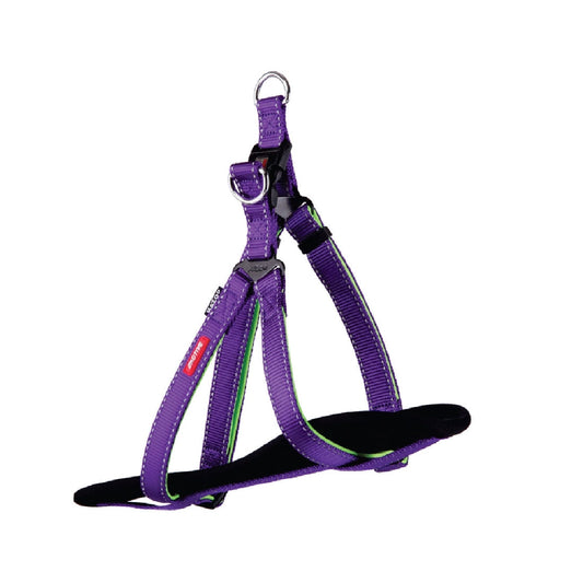 Harness Dog Kazoo Active Purple & Lime-Ascot Saddlery-The Equestrian