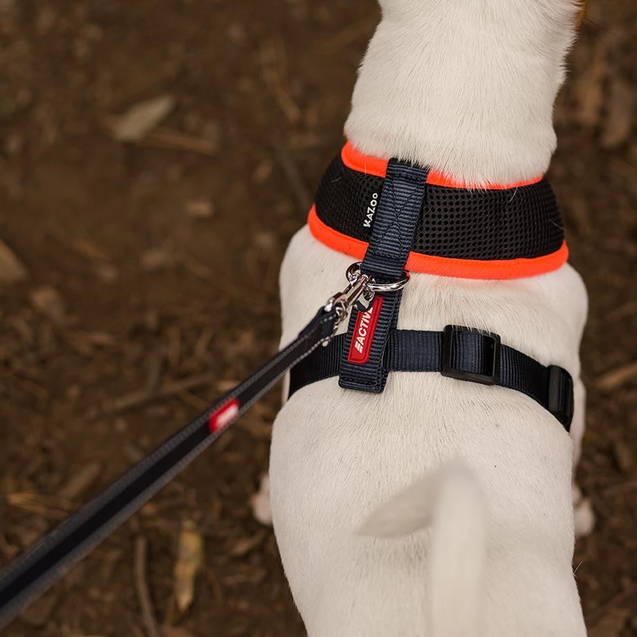Kazoo Dog Leash Active Slate & Orange 1800mm-Ascot Saddlery-The Equestrian