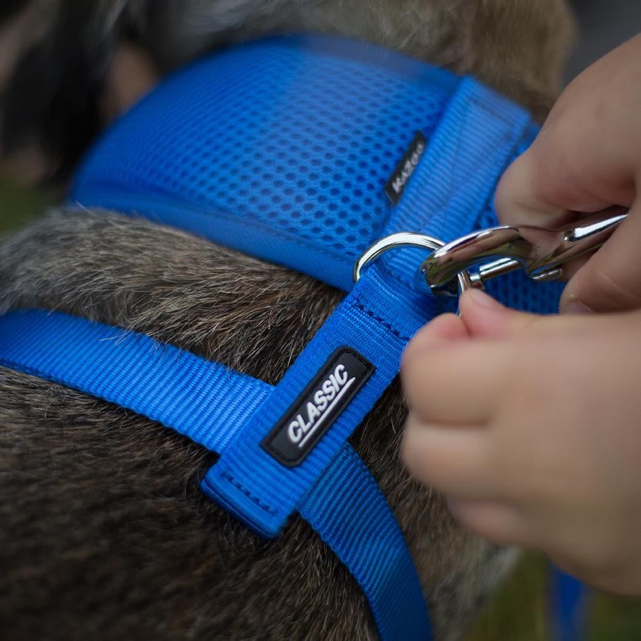 Kazoo Dog Leash Classic Blue 1200mm-Ascot Saddlery-The Equestrian