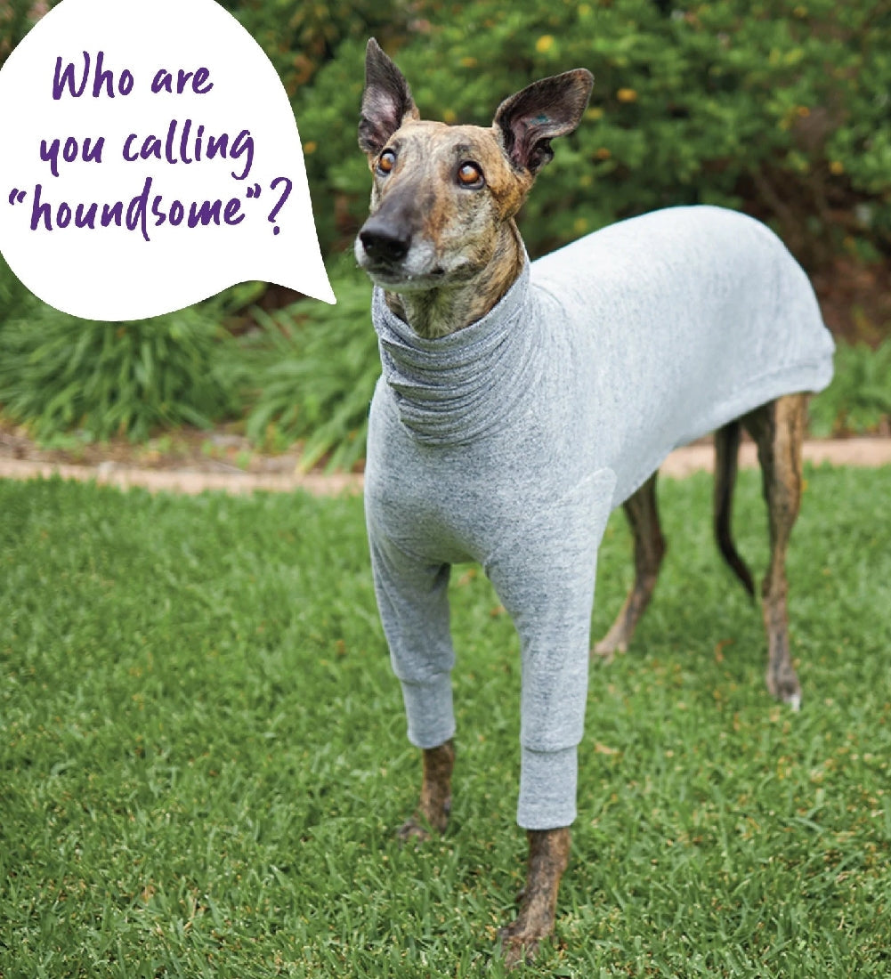Kazoo Dog Rug Greyhound Softie Grey-Ascot Saddlery-The Equestrian
