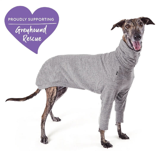 Kazoo Dog Rug Greyhound Softie Grey-Ascot Saddlery-The Equestrian