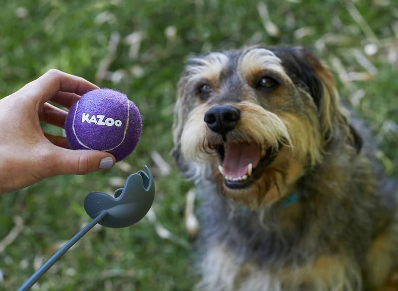 Kazoo Dog Toy Eco Friendly Ball Thrower Small-Ascot Saddlery-The Equestrian