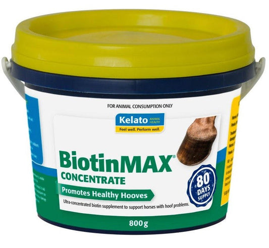 Biotinmax Concentrate Kelato 800mg-Ascot Saddlery-The Equestrian