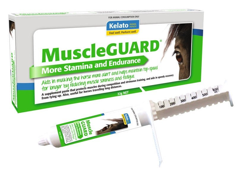 Kelato MuscleGUARD supplement paste for horses in syringe packaging.
