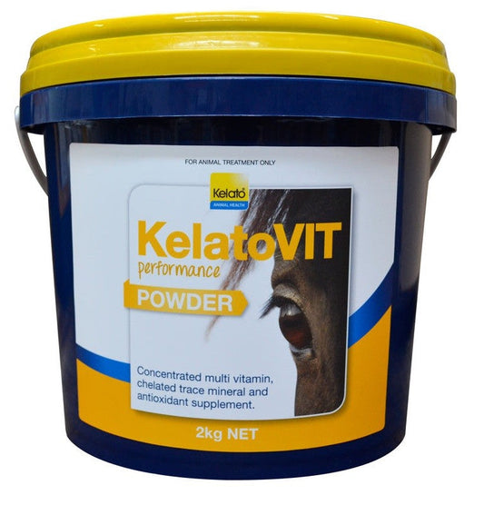 Kelato Vit Performance Powder 2kg-Ascot Saddlery-The Equestrian