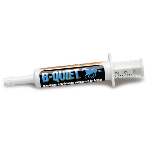 Syringe of B-Quiet magnesium and thiamine horse supplement on white background.